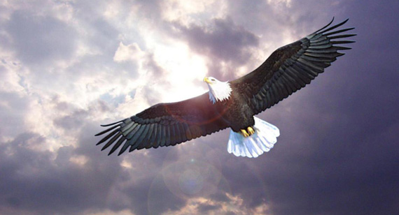 中国·388vip太阳集团(Macau)有限公司-官方网站