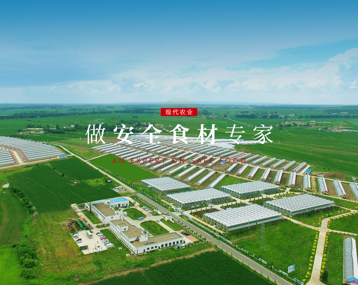 中国·388vip太阳集团(Macau)有限公司-官方网站