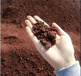 中国·388vip太阳集团(Macau)有限公司-官方网站