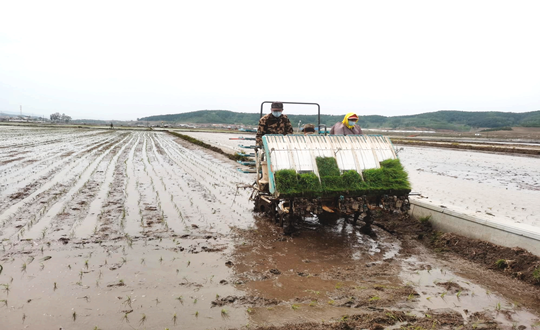 14 388vip太阳集团农业水稻插秧现场_副本.png