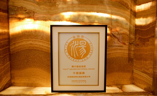 1.酒店公司荣获第六届金汤奖十佳温泉_副本.jpg