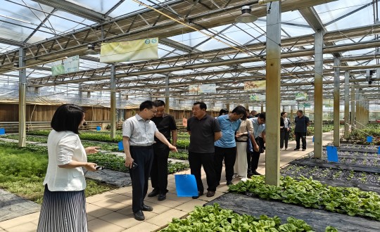 2024年6月27日，中国绿色食品发展中心有关辅导光临农业总公司调查调研_副本.jpg